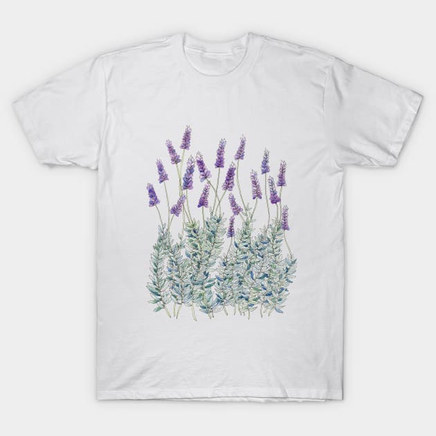 Lavender, Illustration T-Shirt by JessicaRose